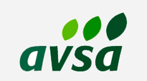 avsa